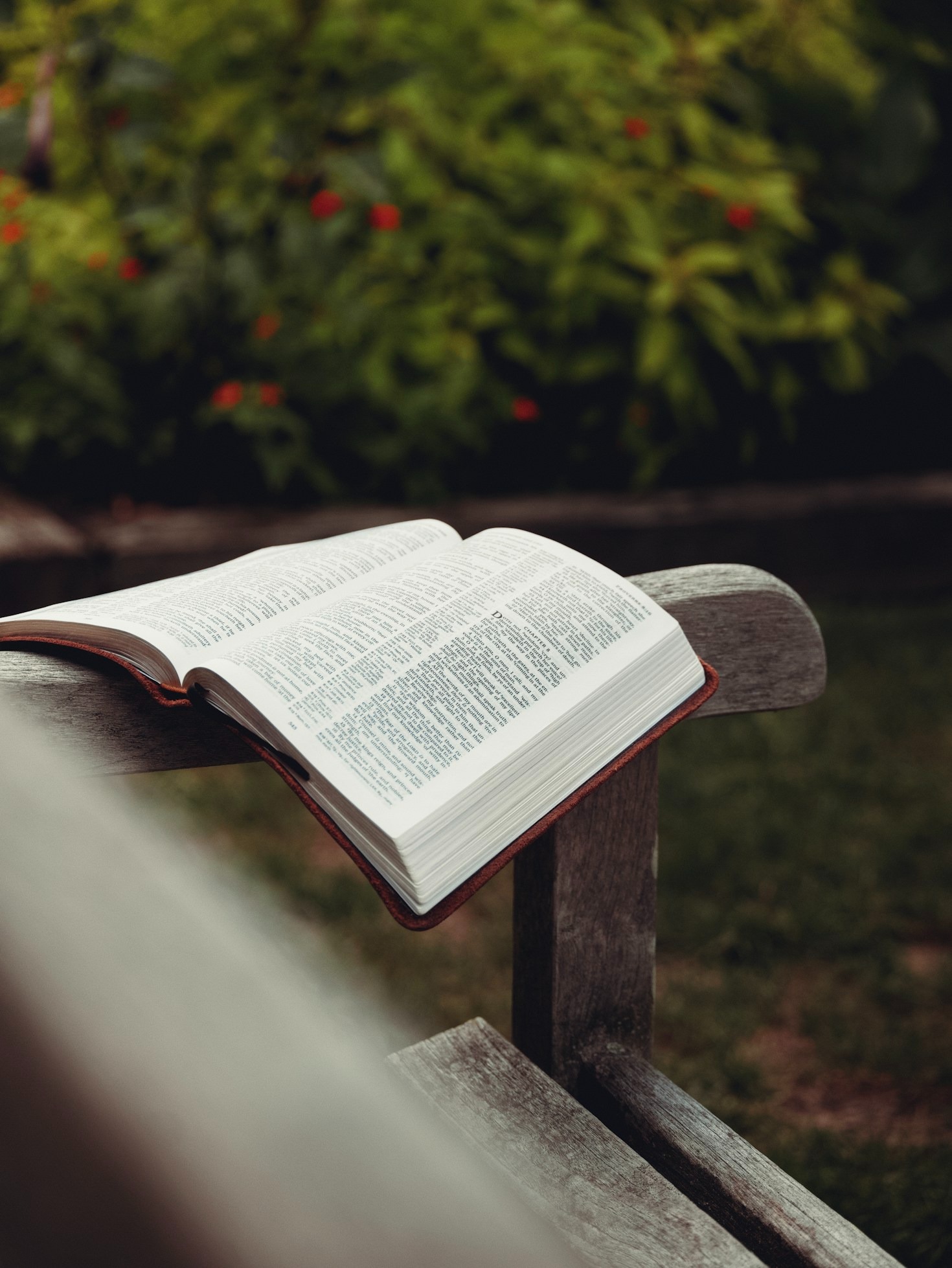 How Dr. Suborzu’s Works Inspire Readers